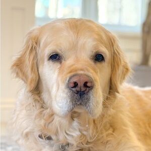 Meet your Posher, Patty